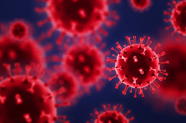 Šta je "bolest X"? VIDEO